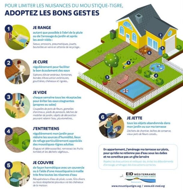 MOUSTIQUE 1
